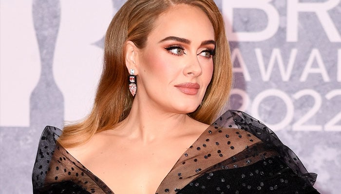 Adele slammed for her vocal admission about ‘loving womanhood’