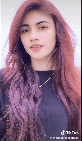 Screengrab via TikTok