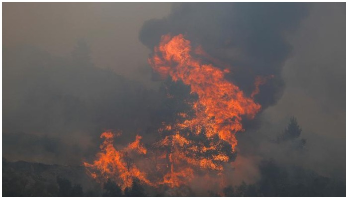 Wildfire flames rise high in north of Athens, Greece. Photo:Reuters
