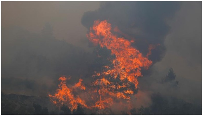 Wildfire flames rise high innorth of Athens, Greece. Photo:Reuters