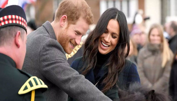 Meghan Markle spilled Prince Harrys embarrassing nickname in public
