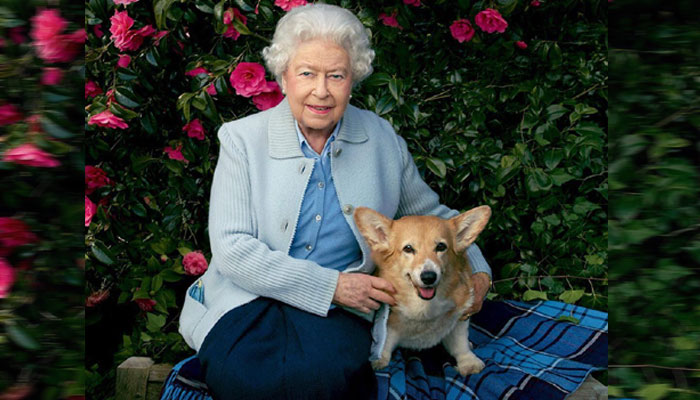 Queen Elizabeth releases special fragrance ‘just for dogs’: ‘Coastal Walks’