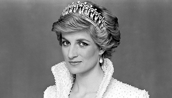Princess Diana traveled with fridge full of blood as she feared for life