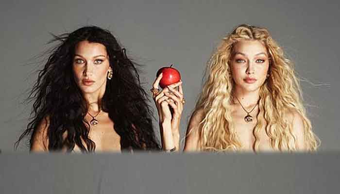 Bella Hadid and Gigi send fans wild as model sisters leave nothing to imagine in new shoot