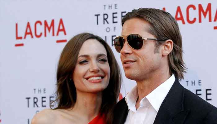 Brad Pitt sues Angelina Jolie for selling stake in French winery
