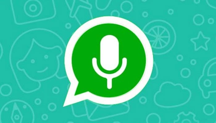 WhatsApp voice note logo. Photo: WhatsApp