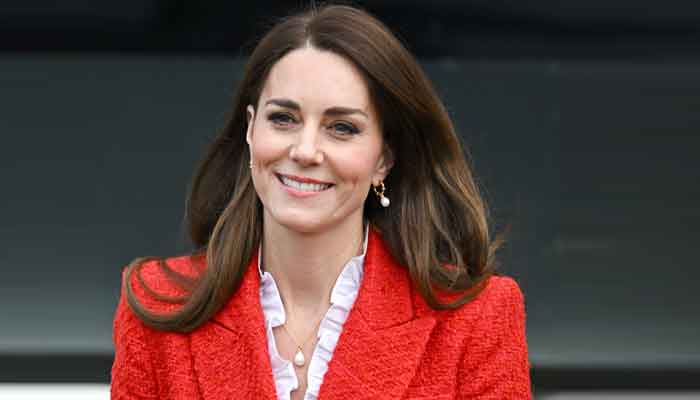 Kate Middleton hugs her true lover during solo trip to Denmark