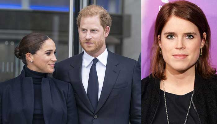 Prince Harry and Meghan Markle ready for another legal battle?