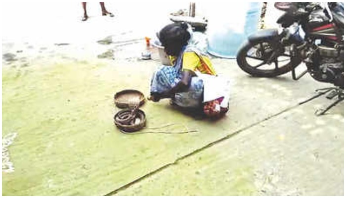 Screengrab via CCTV footage — Times of India