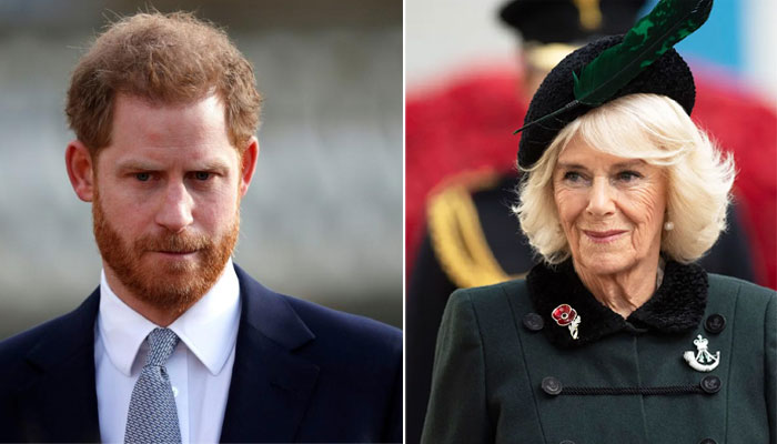 Prince Harry told not to ‘discredit’ Camilla: report