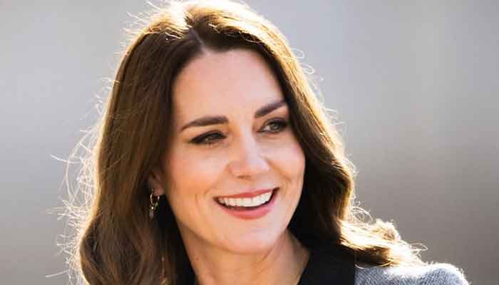 Kate Middletons solo tour to Copenhagen was a test case for the Duchess
