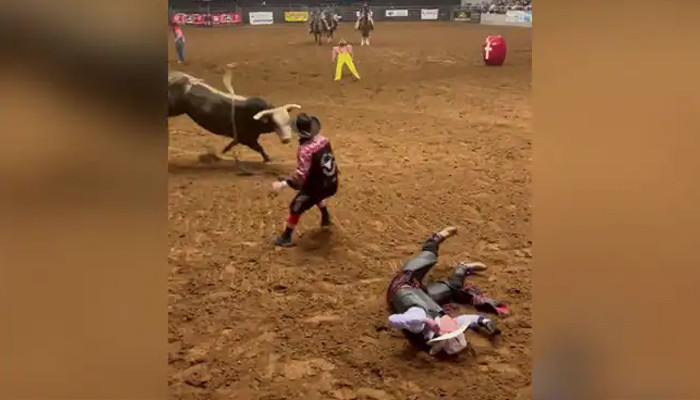 Watch: Father takes hit from a bull to protect unconscious son - Vimarsana News