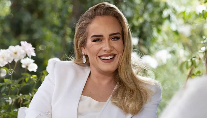 Adele fails to impress producers who doubt her level of discipline for movies