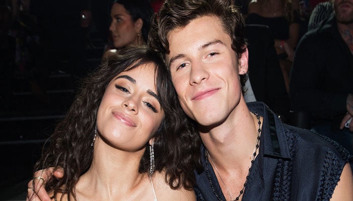 Camila Cabello turned to therapy after Shawn Mendes split: Lot of work