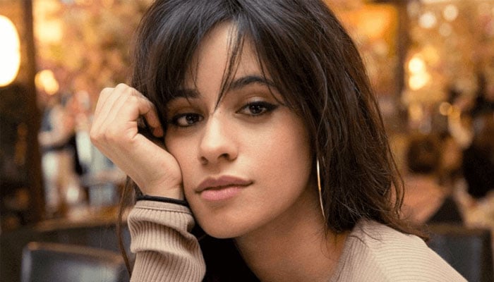 Camila Cabello breaks down ‘fluctuating priorities’ after Shawn Mendes breakup