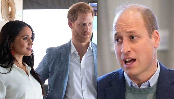 Prince Harry and Meghan Markle caused great pain to Prince William