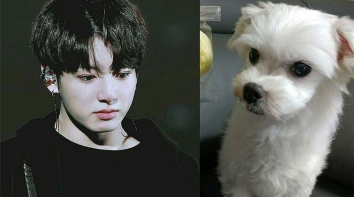 BTS ARMY mourns Jungkook’s family dog’s death