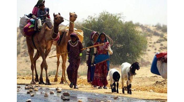 Women more prone to danger due to effects of climate change: experts