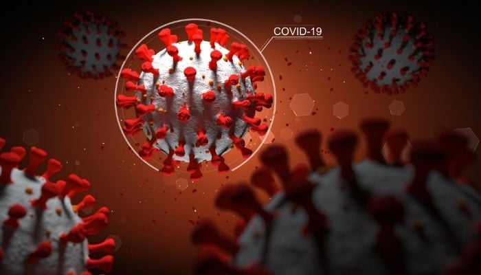 Covid-19 virus representational image. Photo: Stock/file