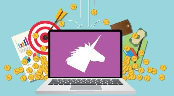 What are tech unicorns?