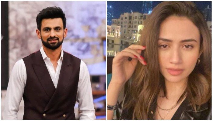 Shoaib Malik gives his two cents on Sana Javed controversy