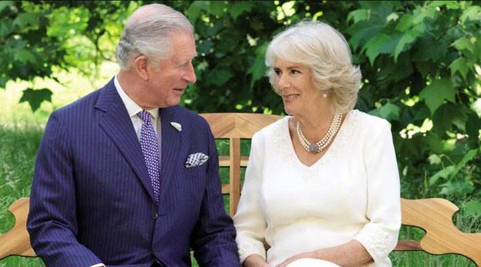 Camilla should not be punished for loving Prince Charles: YouTuber