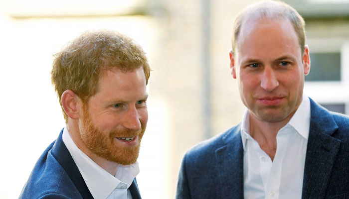 Sussex Squad under fire for venting murderous fury about Prince William