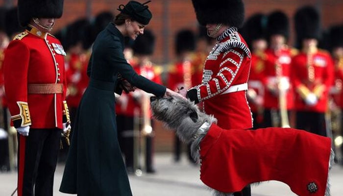 Kate Middleton éblouit de vert alors qu'elle plante le défilé de la Saint-Patrick