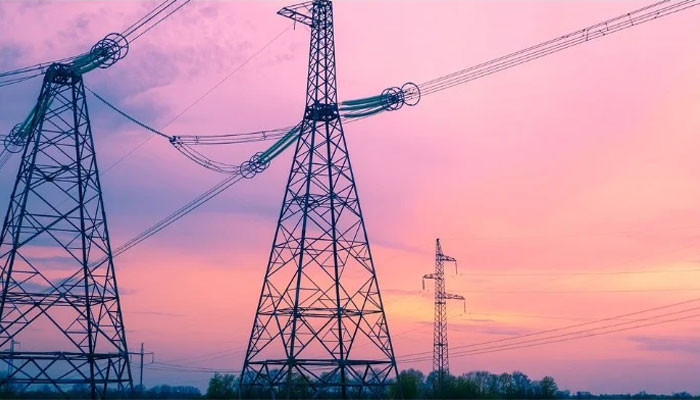ECC menyetujui pengurangan Rs5 dalam harga listrik