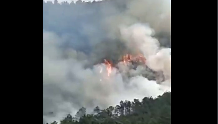 Picture shows mountain fire caused by plane crash. — Screengrab/Twitter