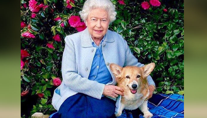 UK MP caught in hilarious mishap while lunching with the Queen