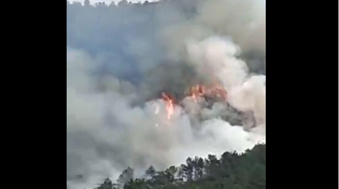 Chinese Boeing jet crashes in mountains with 132 on board, no sign of survivors