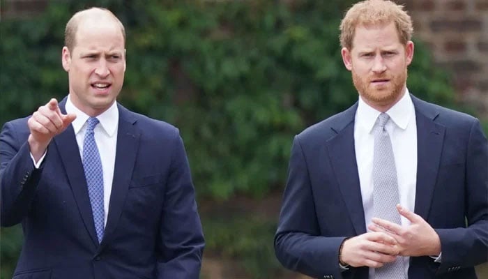 Prince William opens up about brother Prince Harry