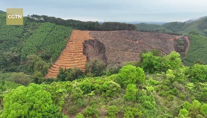 An aerial view shows scorched land at the site where a China Eastern Airlines Boeing 737-800 plane, flight MU5735, crashed in Wuzhou, Guangxi Zhuang Autonomous Region, China, in this still image taken from a drone footage March 23, 2022. — CGTN via Reuters