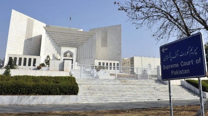 The cost of involving the judiciary for regime change