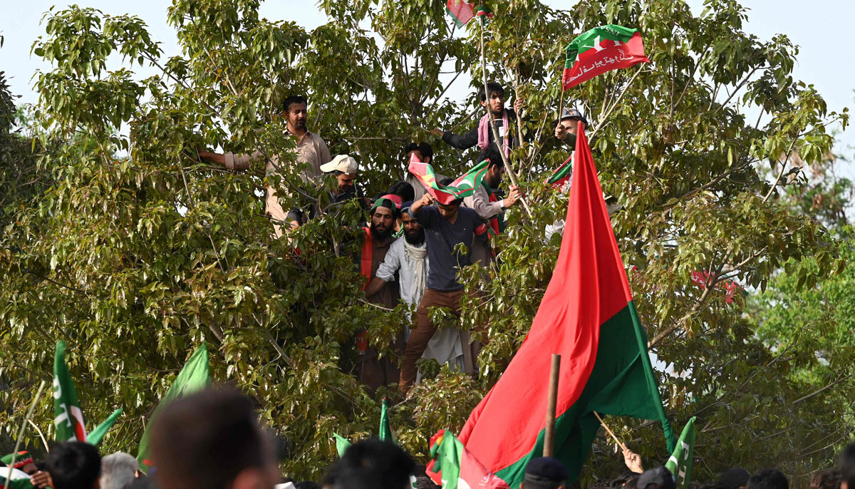 Supporters of ruling PTI wave flags while sitting on a tree during a rally being addressed by Pakistans Prime Minister Imran Khan, in Islamabad on March 27, 2022. — AFP