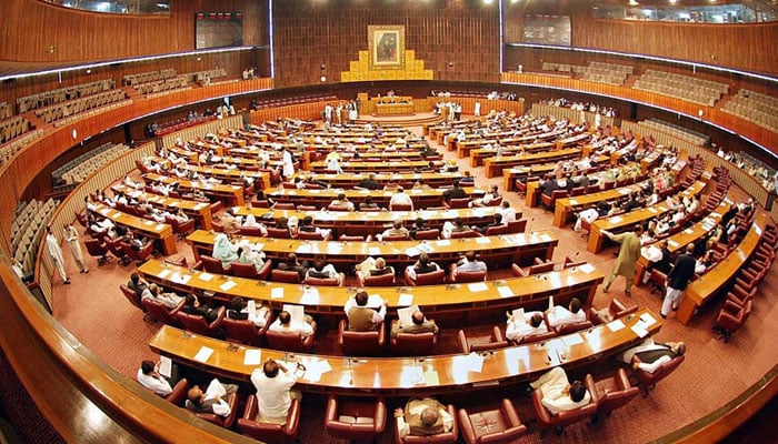 A still image of the session of the National Assembly. — APP/File