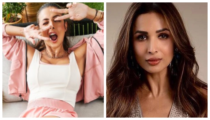 Malaika Arora amazes fans with her new sizzling snap: See