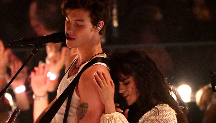 Shawn Mendes admits he does not wanna move on from Camila in heartbreaking song
