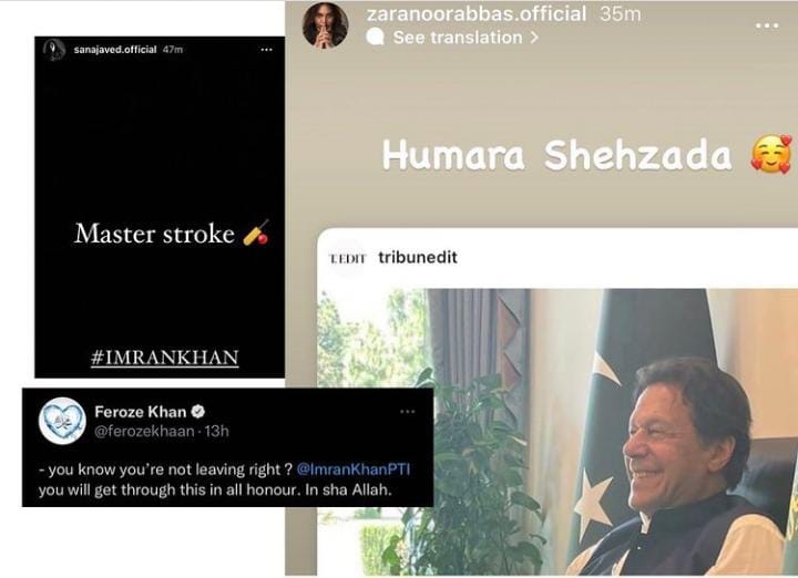 Vote of confidence: Feroze Khan, Saba Qamar and other celebs react to PM Imran Khan’s ‘surprise’