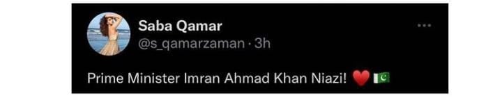 Vote of confidence: Feroze Khan, Saba Qamar and other celebs react to PM Imran Khan’s ‘surprise’