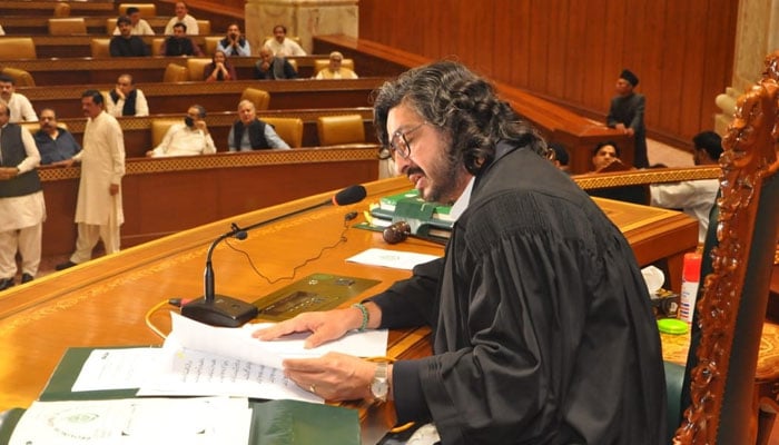 Deputy Speaker of Punjab Assembly Dost Muhammad Mazari chairing the session of the provincial legislature. — Facebook