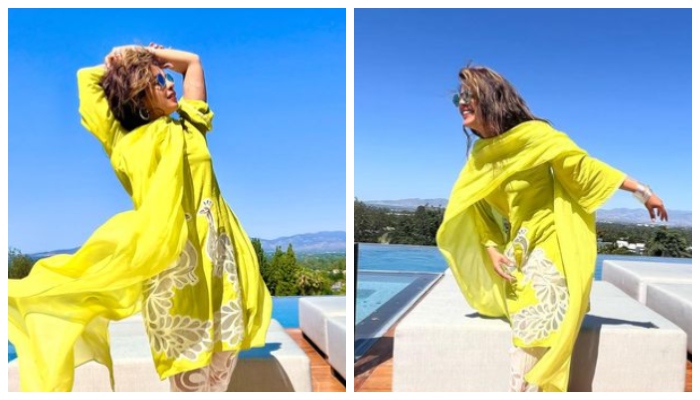 Priyanka Chopra leaves fans swooning over her sun-kissed photos: See post
