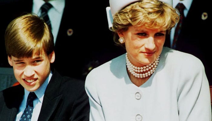 Prince William, Harry ‘hated’ being Diana’s ‘divorce collateral’