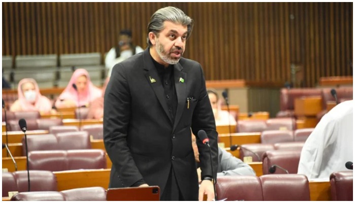 Former minister of state for parliamentary affairs Ali Muhammad Khan. &mdash; Twitter/NA of Pakistan