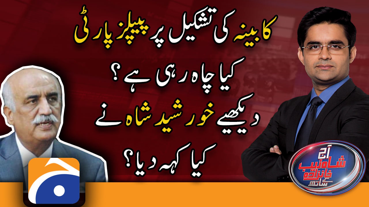 PPP Will Try To Avoid Problems Between Coalition Parties Khursheed ppp-will-try-to-avoid-problems-between-coalition-parties-khursheed