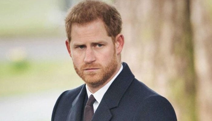 Prince Harry ‘didn’t foresee backlash’ from Prince Philip Memorial snub