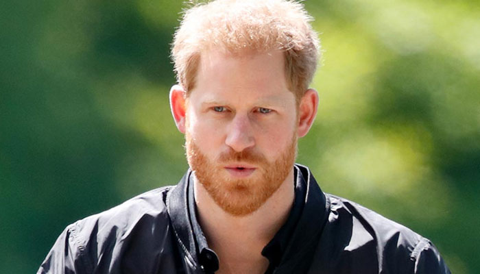 Prince Harry accused of sheer unadulterated nonsense over security bid