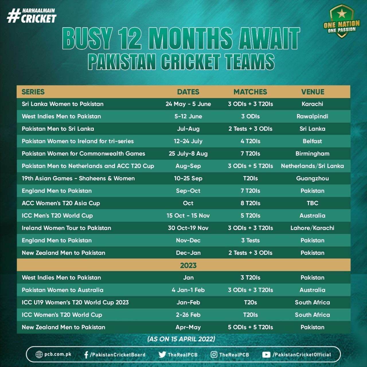 What is Pakistan cricket teams 12-month schedule?