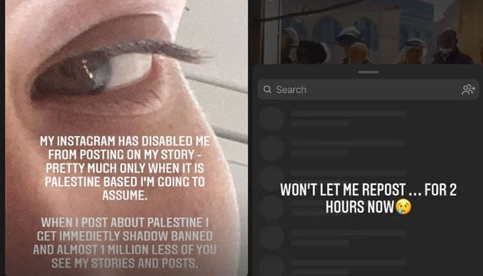 Bella Hadid claims Instagram disabled her Palestine-based posts on platform
